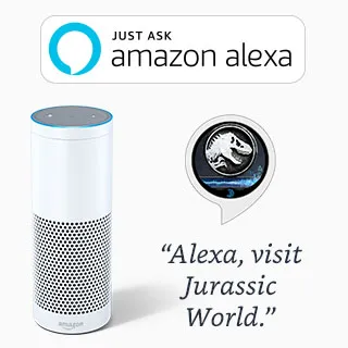 Amazon Delivery